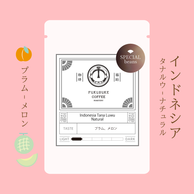 Indonesia Tana Luwu Natural 浅煎り 150g